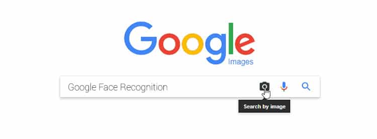 Google Face Recognition-face recognition web search engine