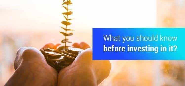 What you should know before investing in it